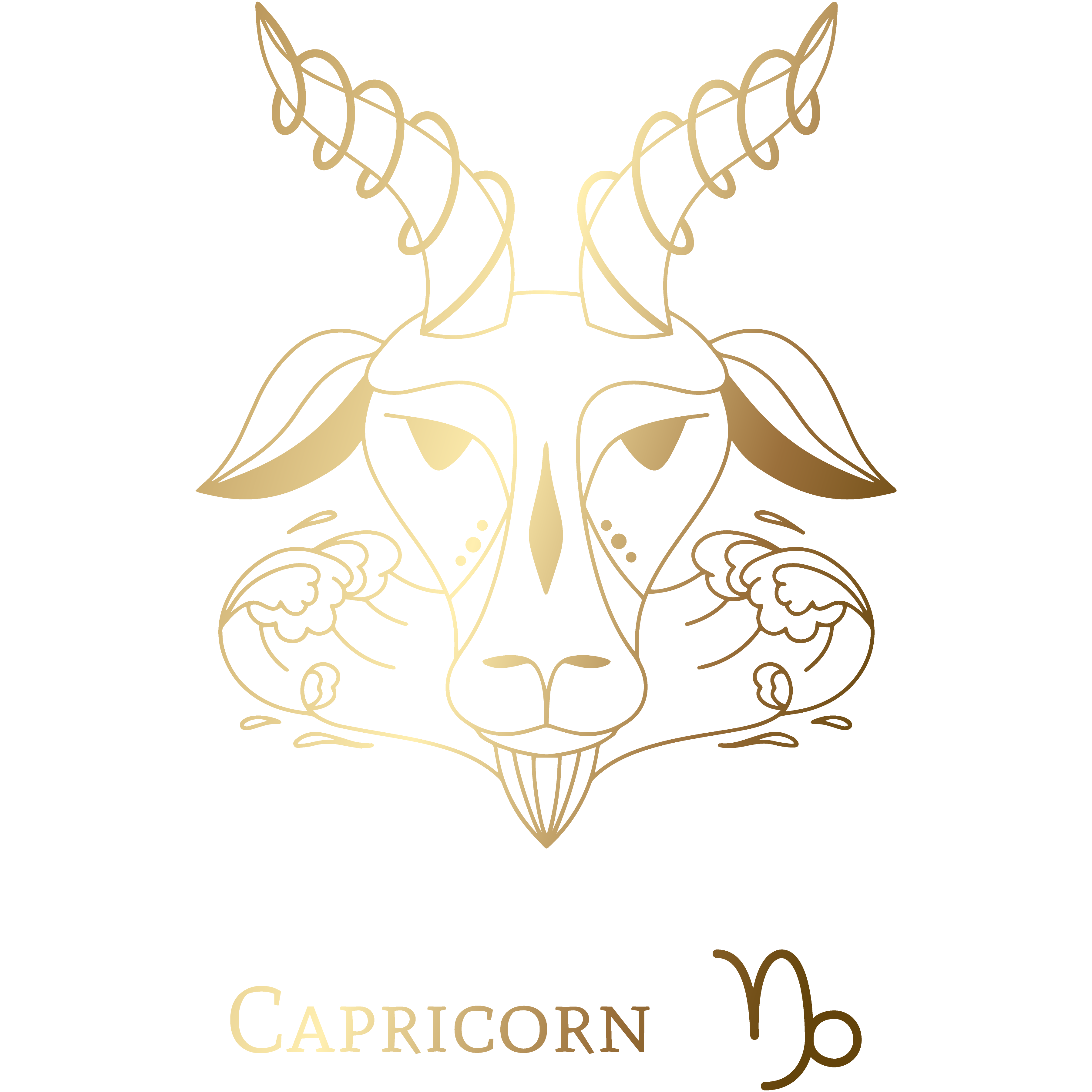 Capricorne