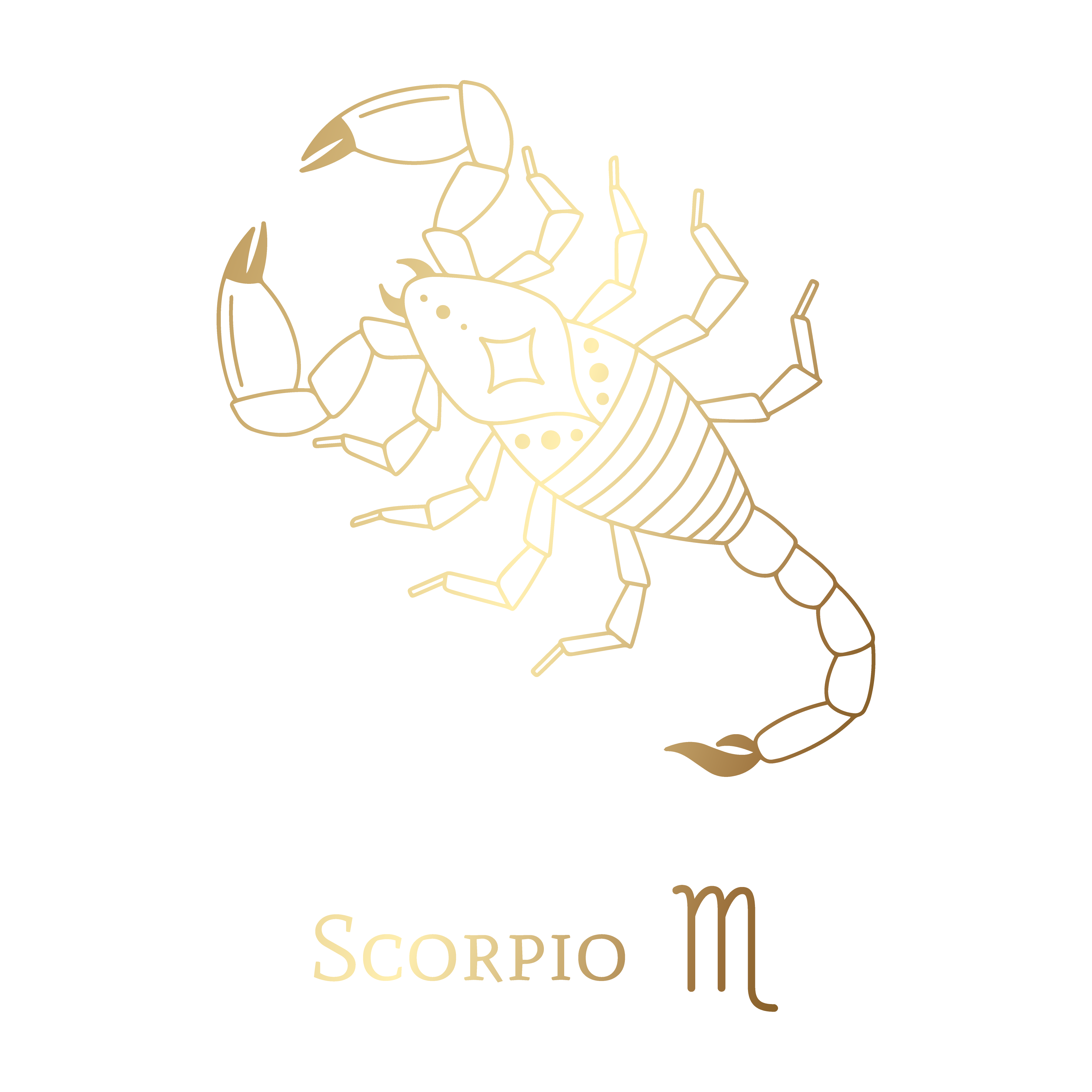Scorpion