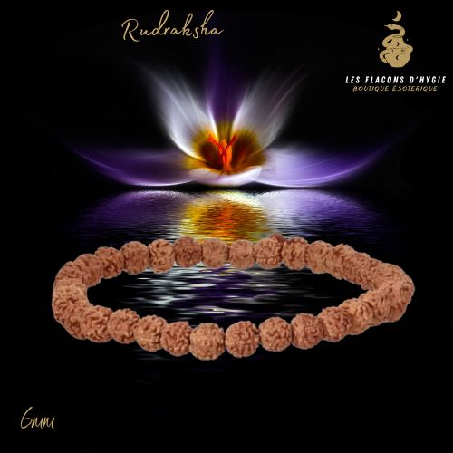Bracelet b 06mm graine rudraksha