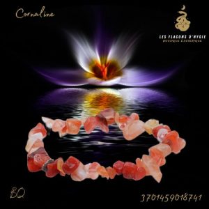 Bracelet bq cornaline