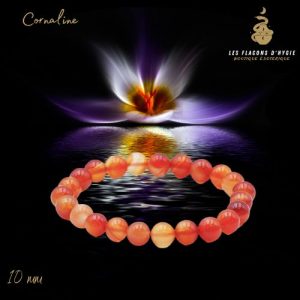 Bracelet b 10mm cornaline a