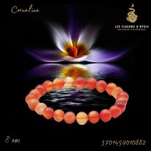 Bracelet b 08mm cornaline