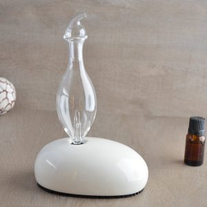 Diffuseur d'huiles essentielles par nébulisation dan