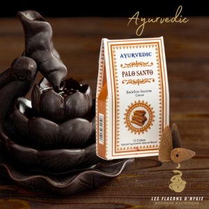 Encens palo santo ayurvedic cônes backflow
