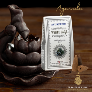 Encens sage blanche ayrvedic cônes backflow
