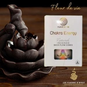 Encens chakra energy fleur de vie cônes backflow