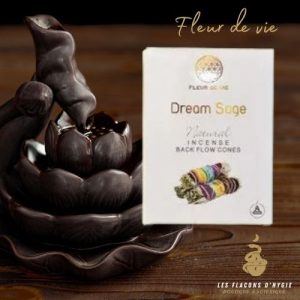 Encens dream sage fleur de vie cônes backflow
