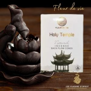 Encens temple fleur de vie cônes backflow