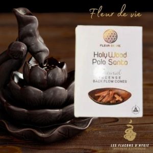 Encens holy palo santo fleur de vie cônes backflow