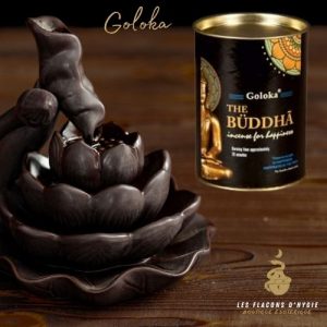 Encens bouddha goloka cônes backflow