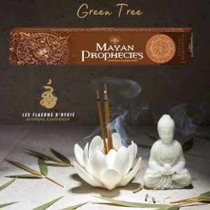 Encens green tree mayan propheties