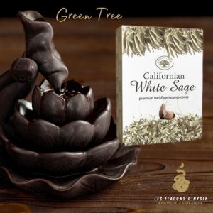 Encens sauge californienne green tree cônes backflow