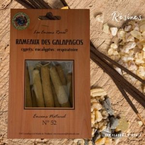 N°52 rameaux des galapagos