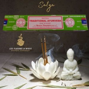 Encens satya traditional ayurveda 15g