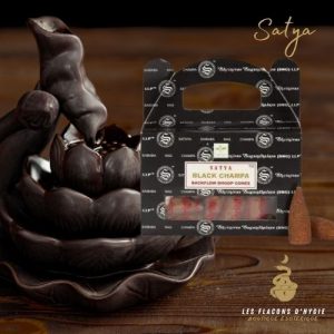 Encens satya black champa cônes backflow