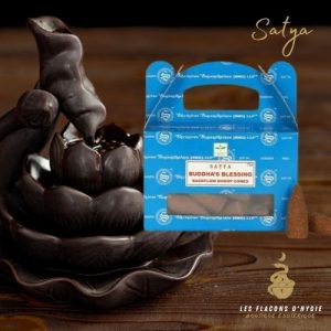 Encens satya buddha's blessing cônes backflow