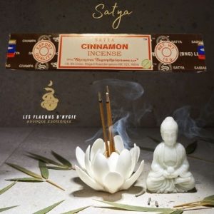 Encens satya cinnamon