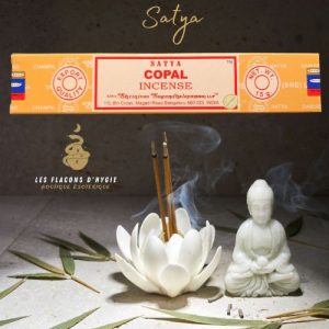 Encens satya copal