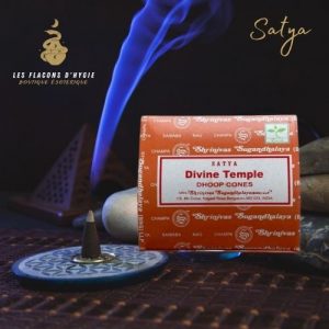 Encens satya divine temple cônes