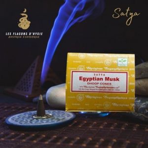 Encens satya egyptian musk cônes