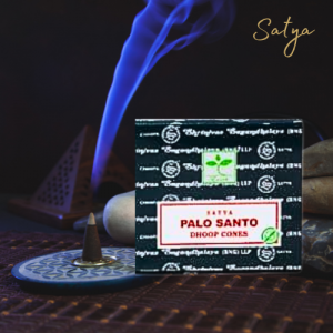Encens satya palo santo cônes