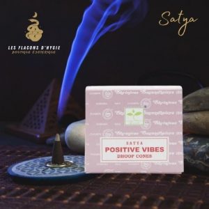 Encens satya positive vibes cônes