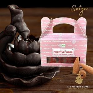 Encens satya positive vibes cônes backflow