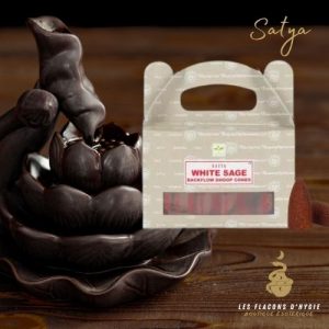 Encens satya white sage cônes backflow
