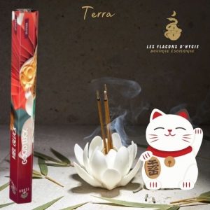 Encens terra bonne chance sans charbon