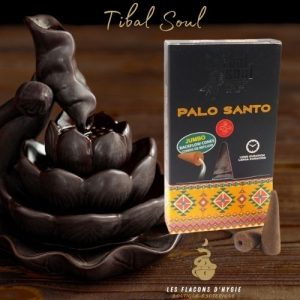 Encens tribal soul palo santo cônes backflow