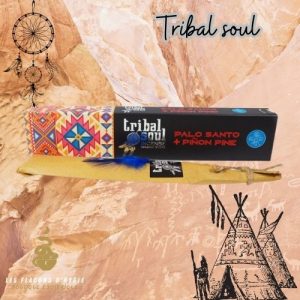Encens tribal soul palo santo & pin