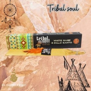Encens tribal soul sauge blanche & palo santo