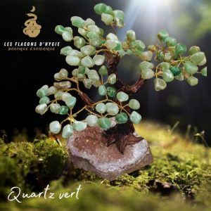 Grand arbre de quartz vert avec base améthyste druse