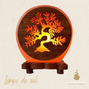 Lampe de sel arbre de vie 5kg