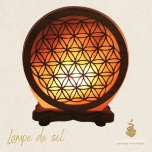 Lampe de sel fleur vie 5kg