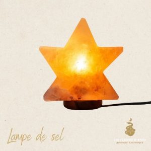 Lampe étoile artisanale sel de l'himalaya