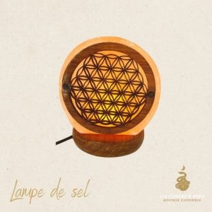 Lampe fleur de vie de sel himalaya usb