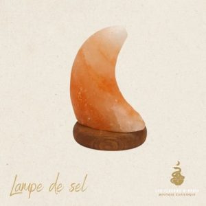Lampe lune artisanale sel de l’himalaya usb 1kg