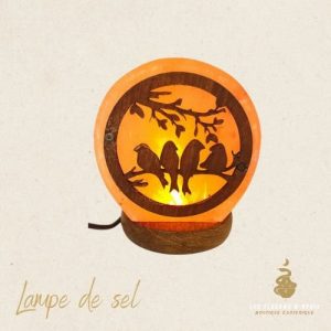 Lampe oiseaux de sel himalaya usb