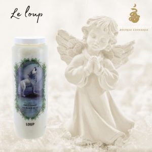 Neuvaine animal totem - loup