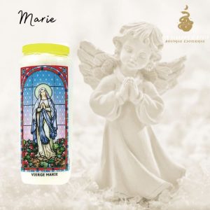 Neuvaine sainte marie