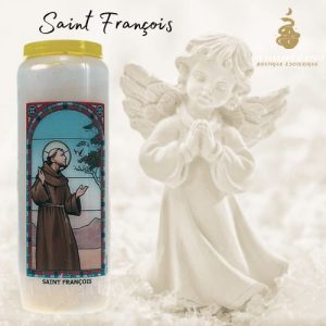Neuvaine vitrail : saint francois