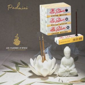 Encens padmini dhoop sticks - vendu à l'unité