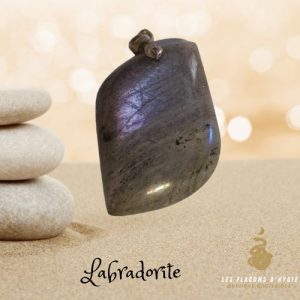 Pendentif labradorite forme s rose