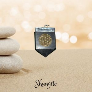 Pendentif shungite fanion fleur de vie