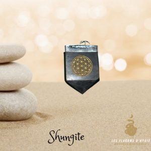 Pendentif shungite fanion fleur de vie