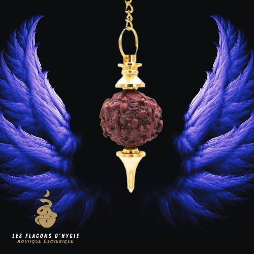 Pendule séphoroton rudraksha