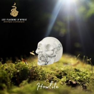 Petit crâne howlite 2cm