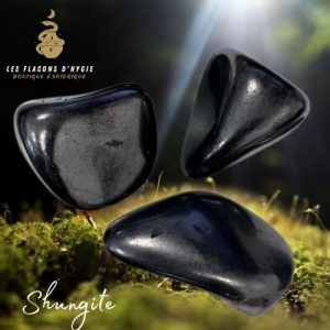 Pierre roulée shungite aa