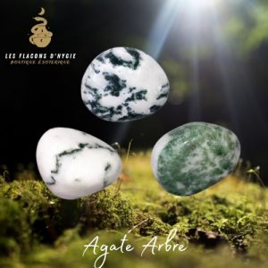 Pierre roulee agate arbre